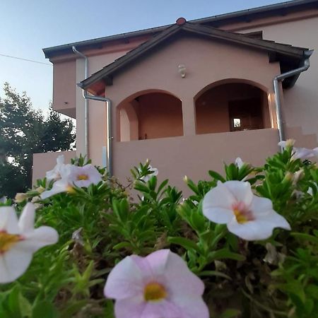 Apartments Cherry Gornji Karin Exterior foto