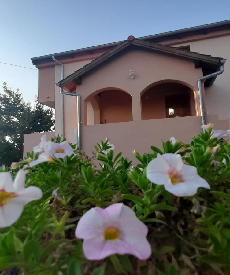 Apartments Cherry Gornji Karin Exterior foto