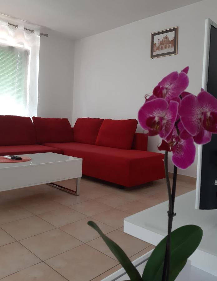 Apartments Cherry Gornji Karin Exterior foto